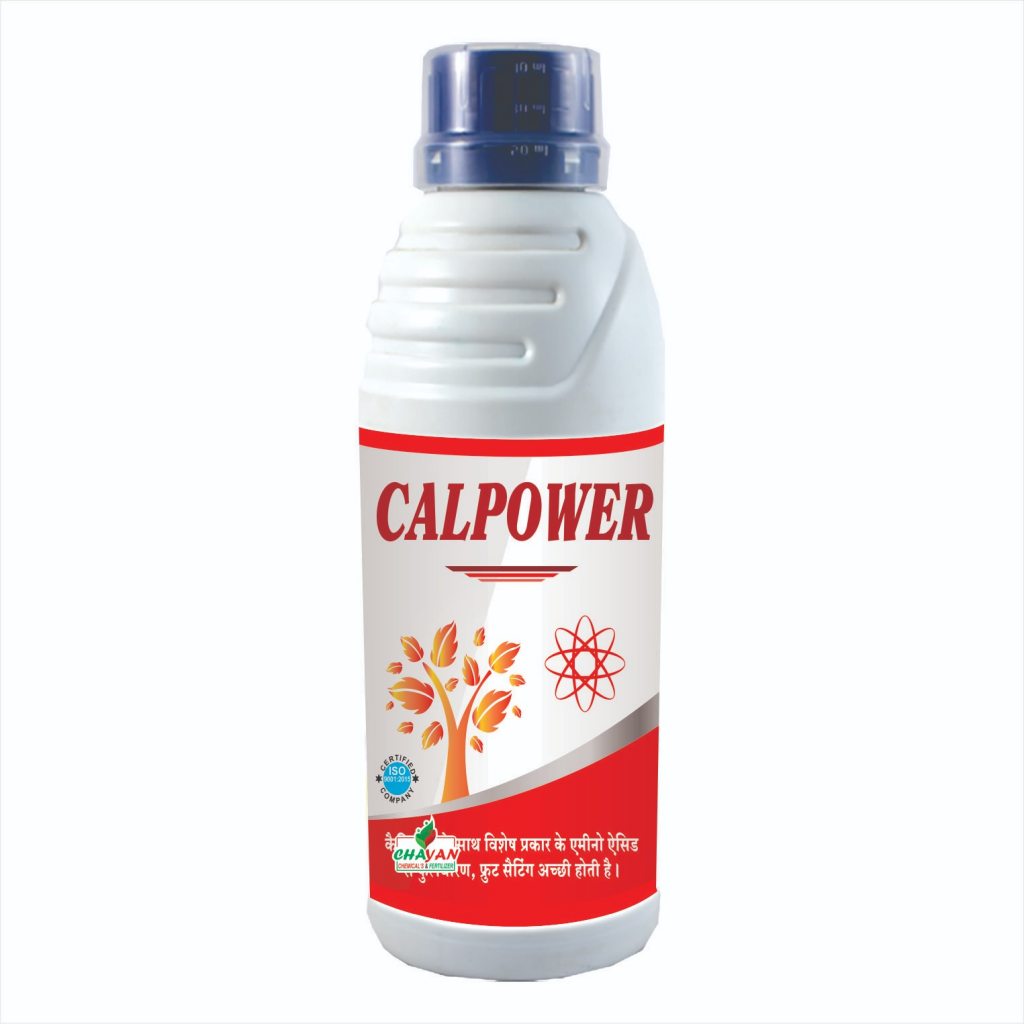 CALPOWER 