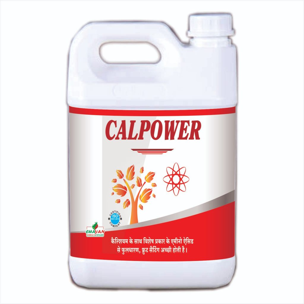 CALPOWER 