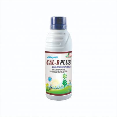 CAL B PLUS 